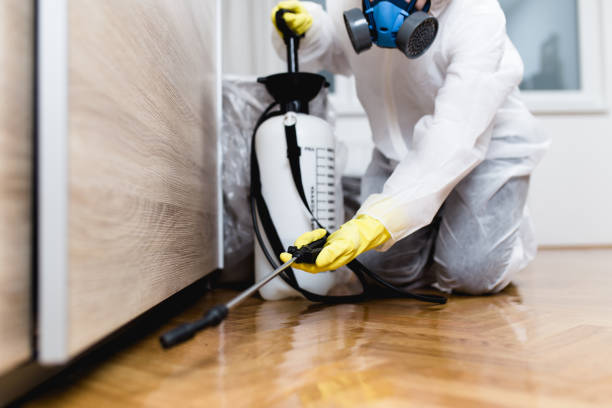 Best Ant Control Services  in Oak Hills, CA