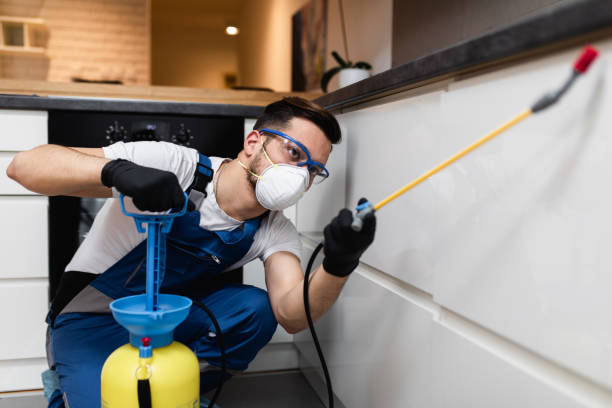 Best Pest Inspection Near Me  in Oak Hills, CA