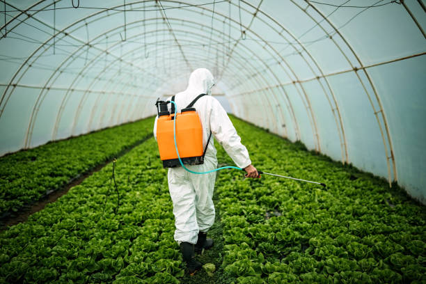 Best Pest Control Near Me  in Oak Hills, CA