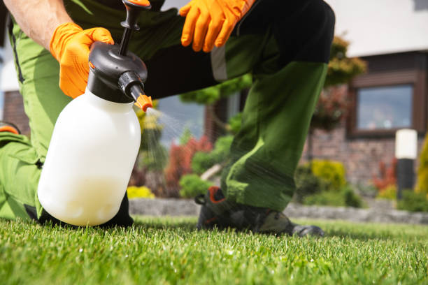 Best Pest Prevention Services  in Oak Hills, CA