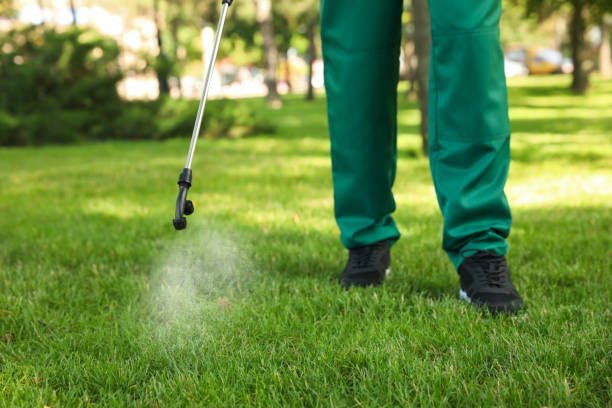 Best Spider Control Near Me  in Oak Hills, CA