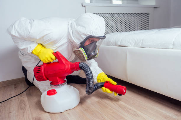 Best Termite Control Services  in Oak Hills, CA