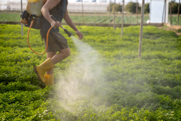 Best Emergency Pest Control  in Oak Hills, CA