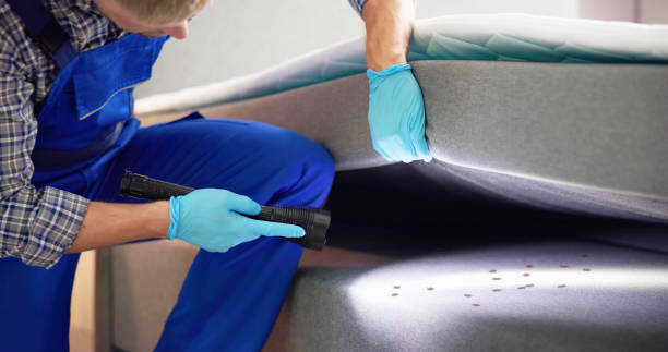 Pest Control for Restaurants in Oak Hills, CA