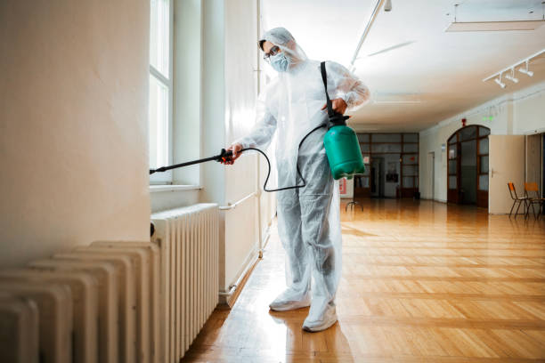 Best Affordable Pest Control Services  in Oak Hills, CA