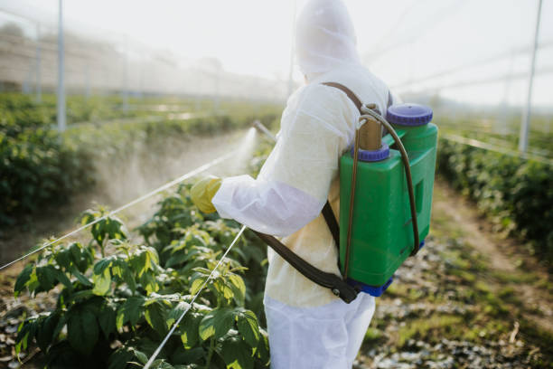 Best Local Pest Control Services  in Oak Hills, CA